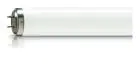Philips TL - DK 36W - Schwarzlicht | 60cm - Insectkiller